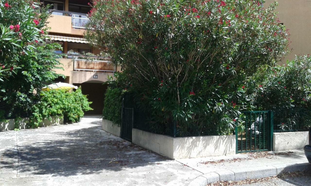Joli Studio Avec Jardinet Avignone Esterno foto